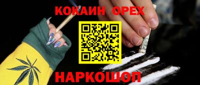 гидропоника Пенза