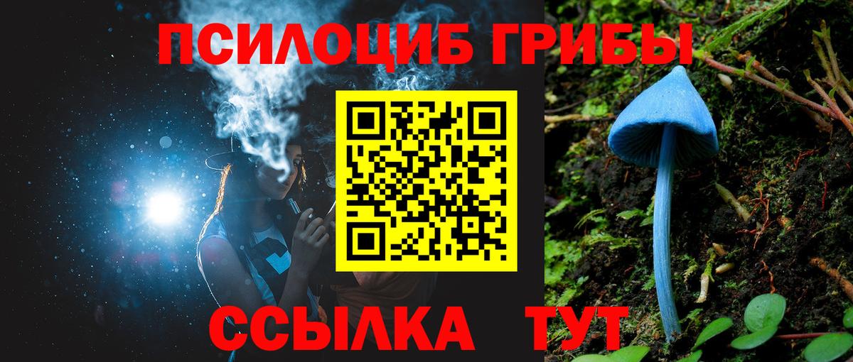 Псилоцибиновые грибы мицелий  Галлюциногенные грибы GOLDEN TEACHER  Вход с VPN  Новодвинск 