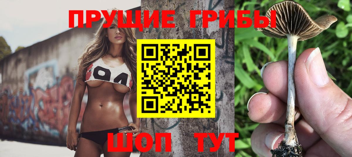 Псилоцибиновые грибы прущие грибы Новодвинск